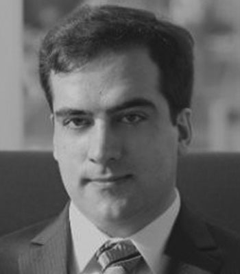 David J Niedzwiecki, Ph.D.